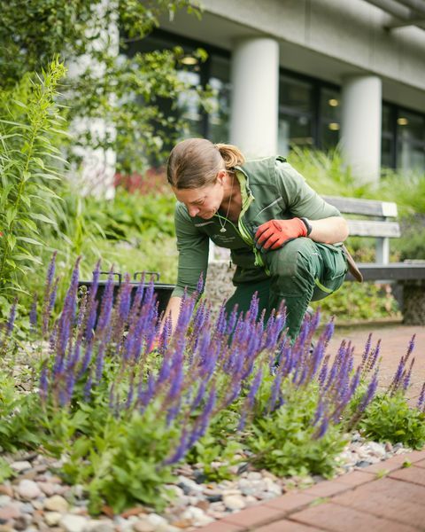 dsc09860_528_medium_SjXEtIkXS0